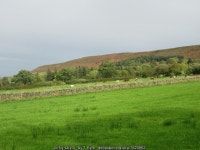 In Danby Dale © T Eyre cc-by-sa/2.0 :: Geograph Britain and Ireland In Danby Dale &copy; T  Eyre cc-by-sa/2.0