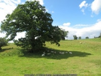 Sitting in the shade © Gordon Hatton cc-by-sa/2.0 :: Geograph Britain and Ireland Sitting in the shade &copy; Gordon Hatton cc... 
