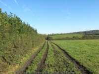 Llwybr ger Whitehook / Path near... © Alan Richards :: Geograph Britain and Ireland Llwybr ger Whitehook / Path near...... 