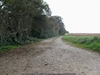 Track beside the Buttonhook © David Brown :: Geograph Britain and Ireland Track beside the Buttonhook &copy; David Brown