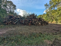Wood stack, Worthlodge Forest © Robin Webster :: Geograph Britain and Ireland Wood stack, Worthlodge Forest &copy; Robin Webster