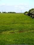Huge Field © Andy Beecroft :: Geograph Britain and Ireland Huge Field &copy; Andy Beecroft