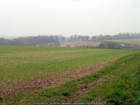 Fields west of Down Farm, Kilmeston © Robin Webster :: Geograph Britain and Ireland Fields west of Down Farm, Kilmeston... 