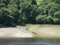 Exposed banks of Garreg-ddu reservoir © Gareth James :: Geograph Britain and Ireland Exposed banks of Garreg-ddu reservoir... 