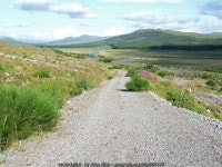 Leaving Strathbran Plantation © John Allan :: Geograph Britain and Ireland Leaving Strathbran Plantation &copy; John Allan