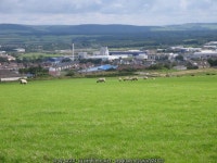 Sheep in field © derek menzies :: Geograph Britain and Ireland Sheep in field &copy; derek menzies