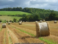 Harvested farmland, Hambleden © Andrew Smith :: Geograph Britain and Ireland Harvested farmland, Hambleden &copy; Andrew Smith