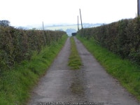 The road to Hookway © Rob Purvis cc-by-sa/2.0 :: Geograph Britain and Ireland The road to Hookway &copy; Rob Purvis cc-by-sa/2.0