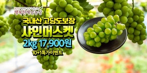 개입마개로 유명했던 아주머니 근황 - 기타 국내 드라마 갤러리