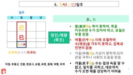 [기사일주]외향적이고 소통력이 좋은 성격