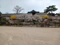 30화 궁(宮) 4