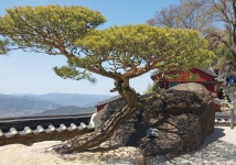 사성암 그 비경이