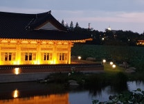 덕진공원의 야경