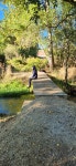 03화 저 산 위에 은은한 광기