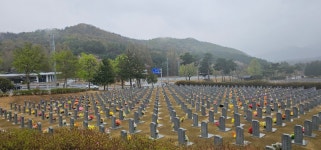 삶의 무늬가 있는 시(詩)