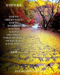 당신만의 꽃길 당신만의 꽃길 