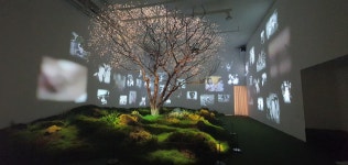 제주 2: 포도뮤지엄-어쩌면 아름다운 날들