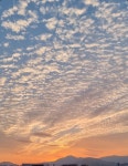 1.노자의 도덕경,말할 수 없는 道를 말하다.