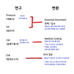 메디컬라이터 (MW)란 무엇인가?