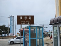 13화 다시 찾은 망양정해물칼국수