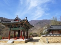 남도 여정수첩 3ㅡ전쟁의 상흔 새겨진 연곡사의 봄