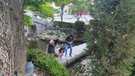 열대야 없는 고원도시 태백