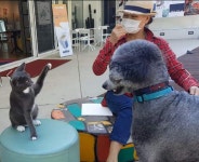 꽃 보다 맥!