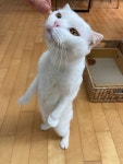 백 점 만점에 십 점!