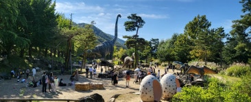 긴 연휴 어디가 좋을까? 칠곡 가산수피아 핑크뮬리