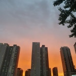 대기업 직장인, 요가강사가 되다 #2