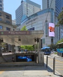 명동대성당(明洞大聖堂) 순례