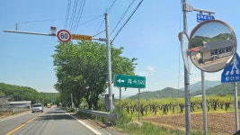 청도(淸道) 가는 길