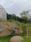 09화  나는야 질투의 화신