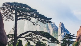 중국 황산 등정기