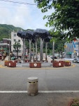 태백에서 도계 건의령 한 바퀴
