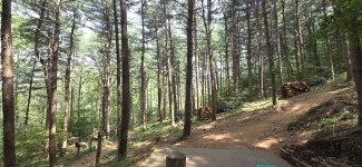 바라산 숲길 탐구