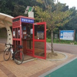 11 비내섬 ~ 충주 탄금대(31km)