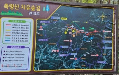 장성의 축령산에서 힐링하다