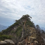 단양의 도락산을 H와 함께 걷다.