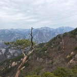 단양의 도락산을 H와 함께 걷다.