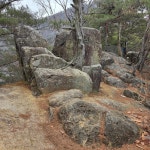 단양의 도락산을 H와 함께 걷다.