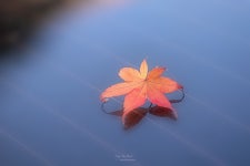 한 해가 저무는 즈음에-1