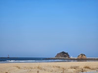 13화 소나무 숲에 빠지다_안면도 자연휴양림