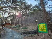 17화 수수하고 아늑한 소나무 숲체험_만수산 자연휴양림