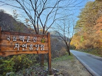 17화 가을 계곡에 반하다, 원주 백운산 자연휴양림