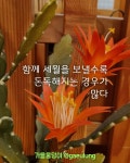 8년 차 기계들