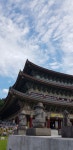 11화 올레길의 오아시스(8코스)