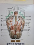 11화 짝꿍