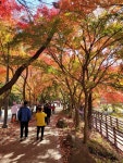 06화 본심(本心)