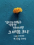 캘리그래피라는 신세계